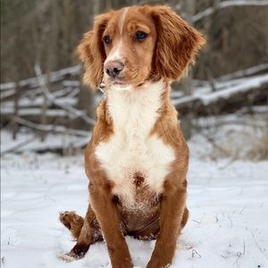 Meet your Posher, Annie